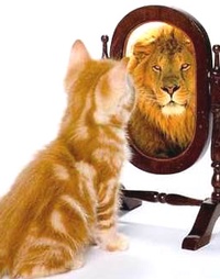 Picture for Self-Esteem: A Deeper Look at Your Brilliance package